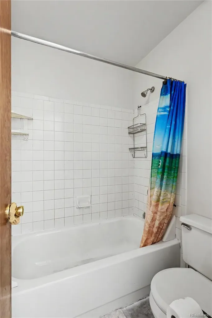 3843 W Temple Place Denver CO 80236