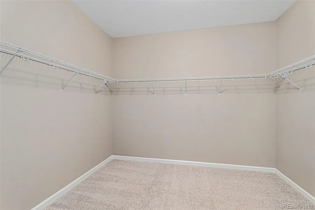 7287 Greenwater Circle Castle Rock CO 80108