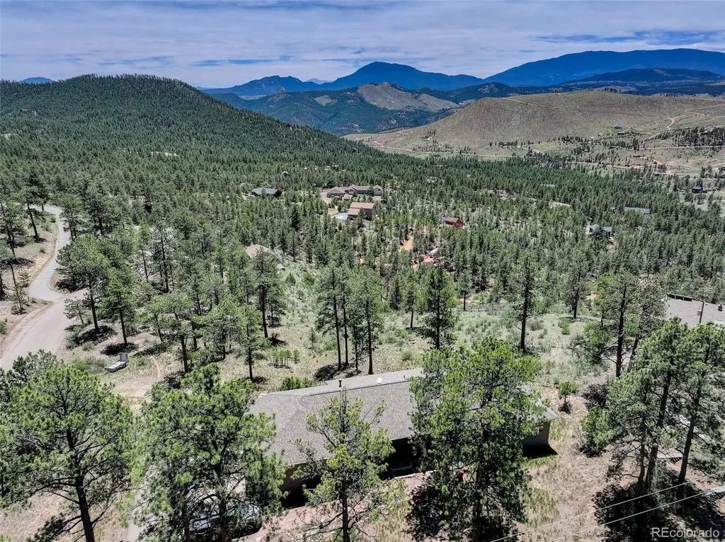 30236 Zurich Drive Pine CO 80470
