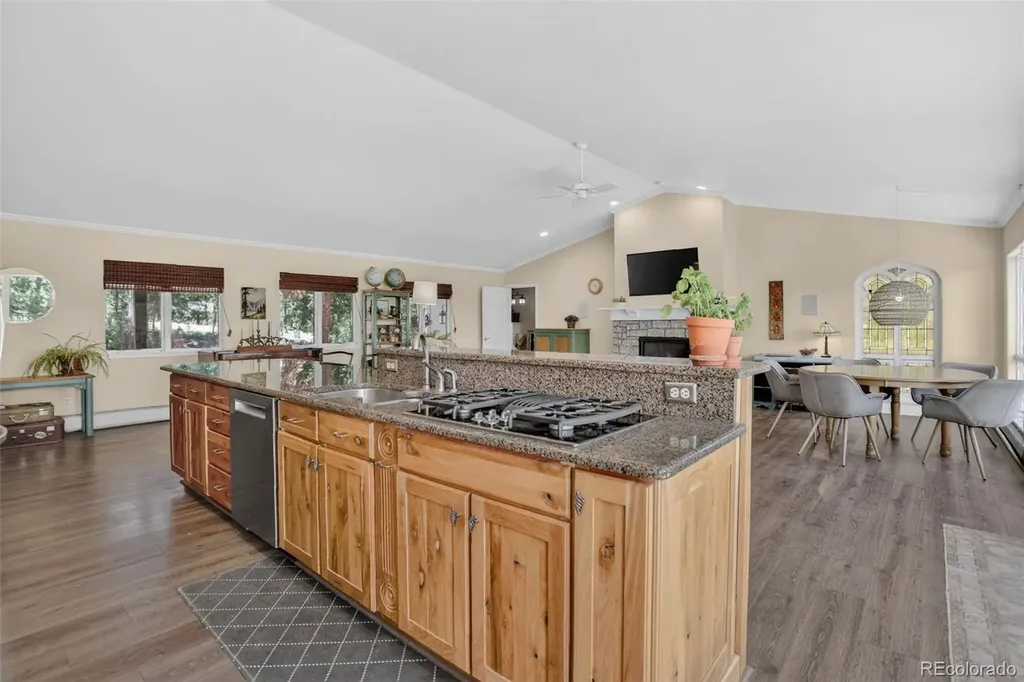 30236 Zurich Drive Pine CO 80470