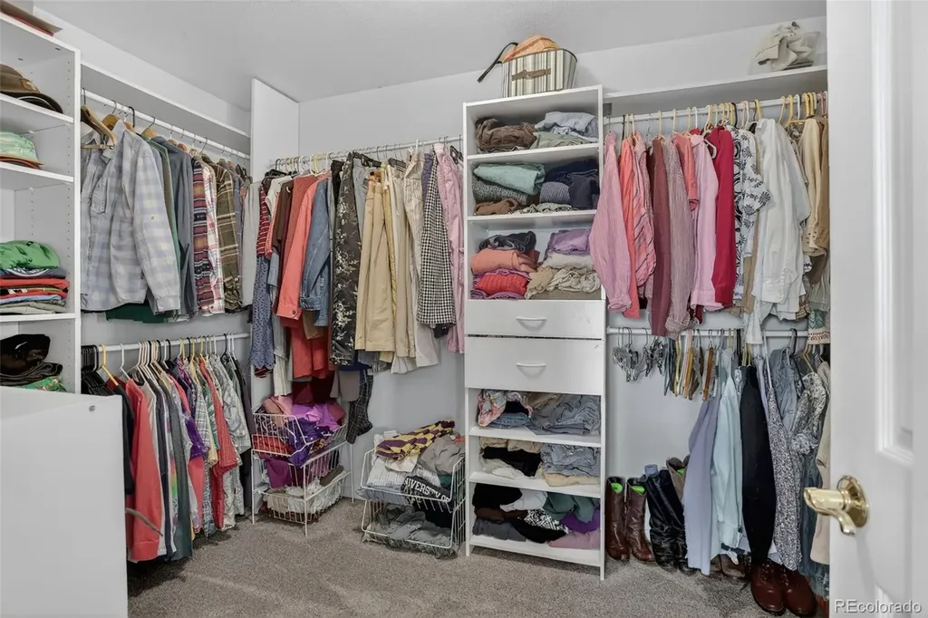30236 Zurich Drive Pine CO 80470