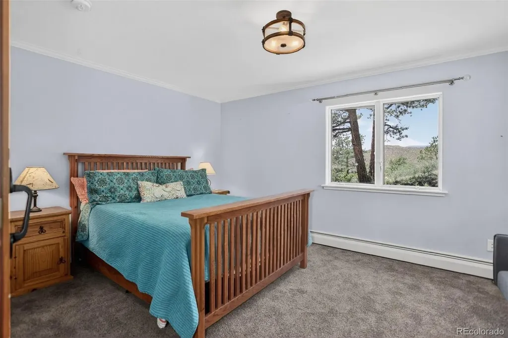30236 Zurich Drive Pine CO 80470