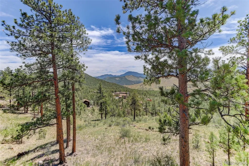 30236 Zurich Drive Pine CO 80470