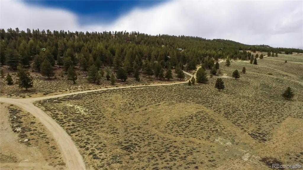 1111 George Safken Road Twin Lakes CO 81251