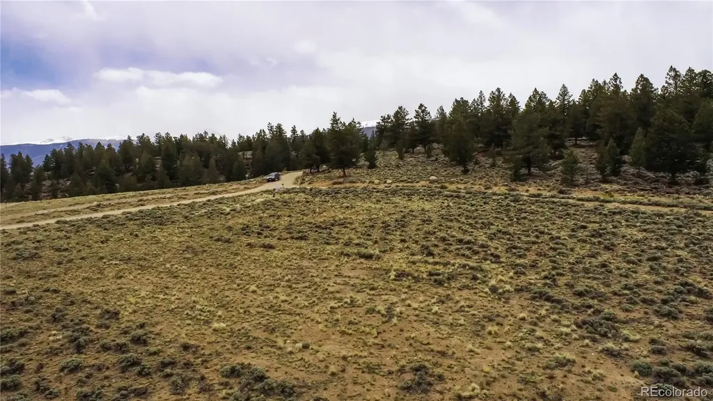 1111 George Safken Road Twin Lakes CO 81251