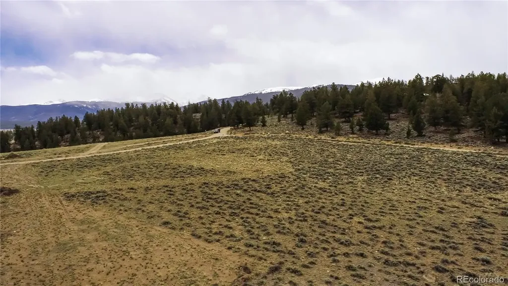 1111 George Safken Road Twin Lakes CO 81251