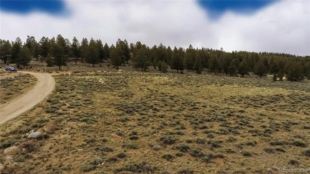 1111 George Safken Road Twin Lakes CO 81251