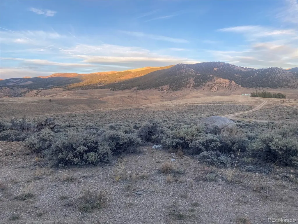 1111 George Safken Road Twin Lakes CO 81251