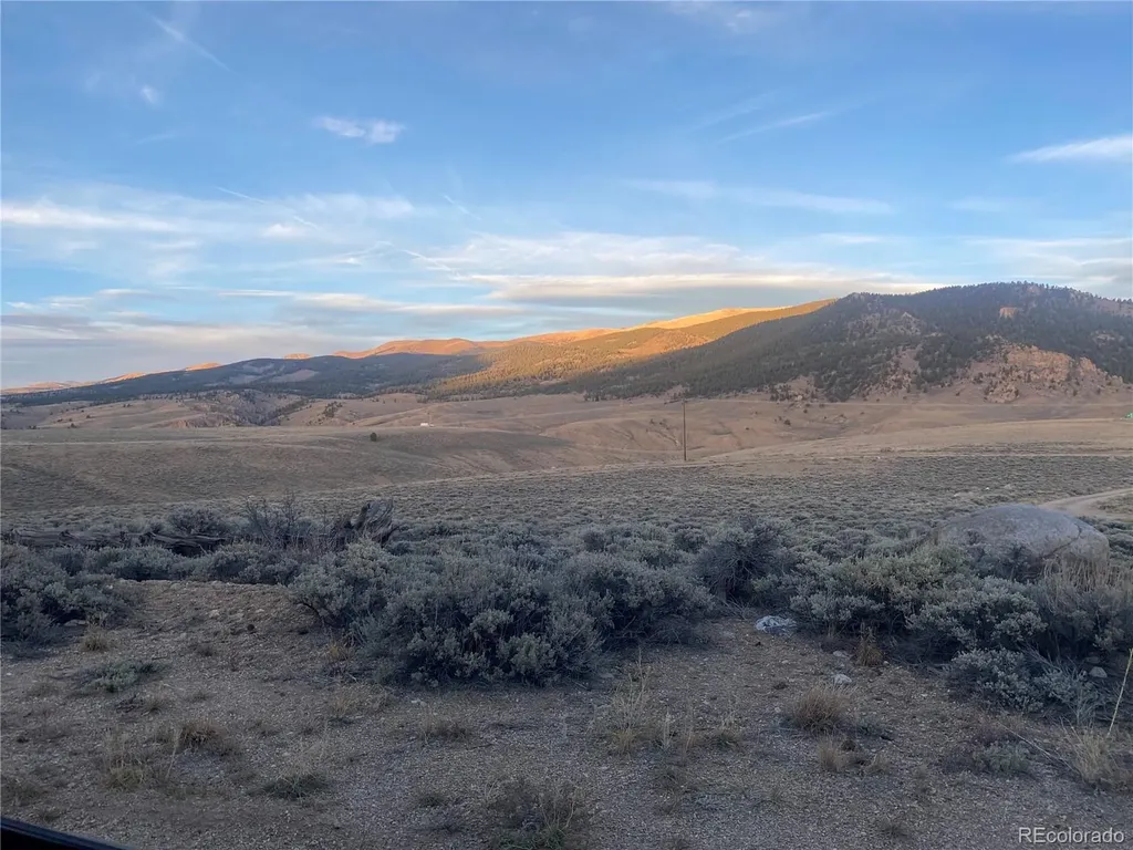 1111 George Safken Road Twin Lakes CO 81251