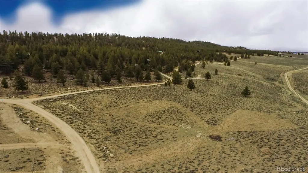 1111 George Safken Road Twin Lakes CO 81251