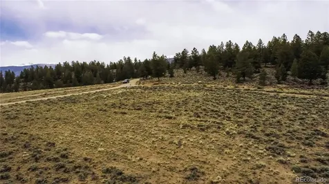 1111 George Safken Road Twin Lakes CO 81251