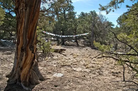3519 Forest Trail Ol Crestone CO 81131