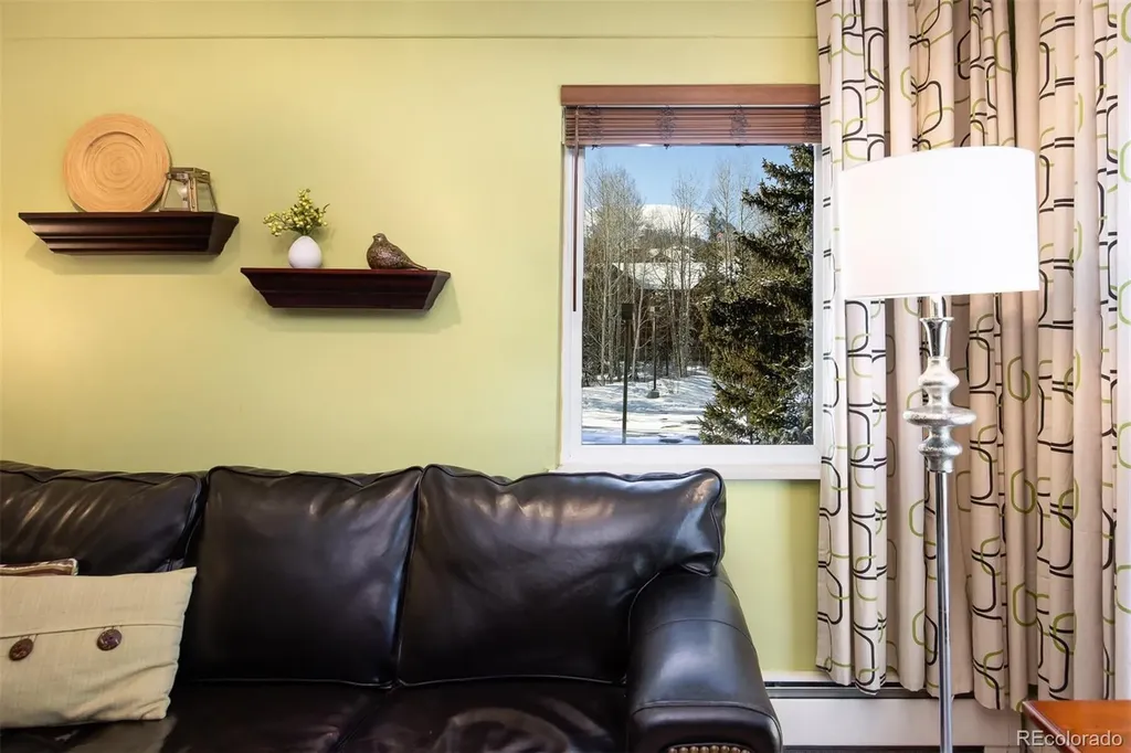 101 Ryan Gulch Court Silverthorne CO 80498