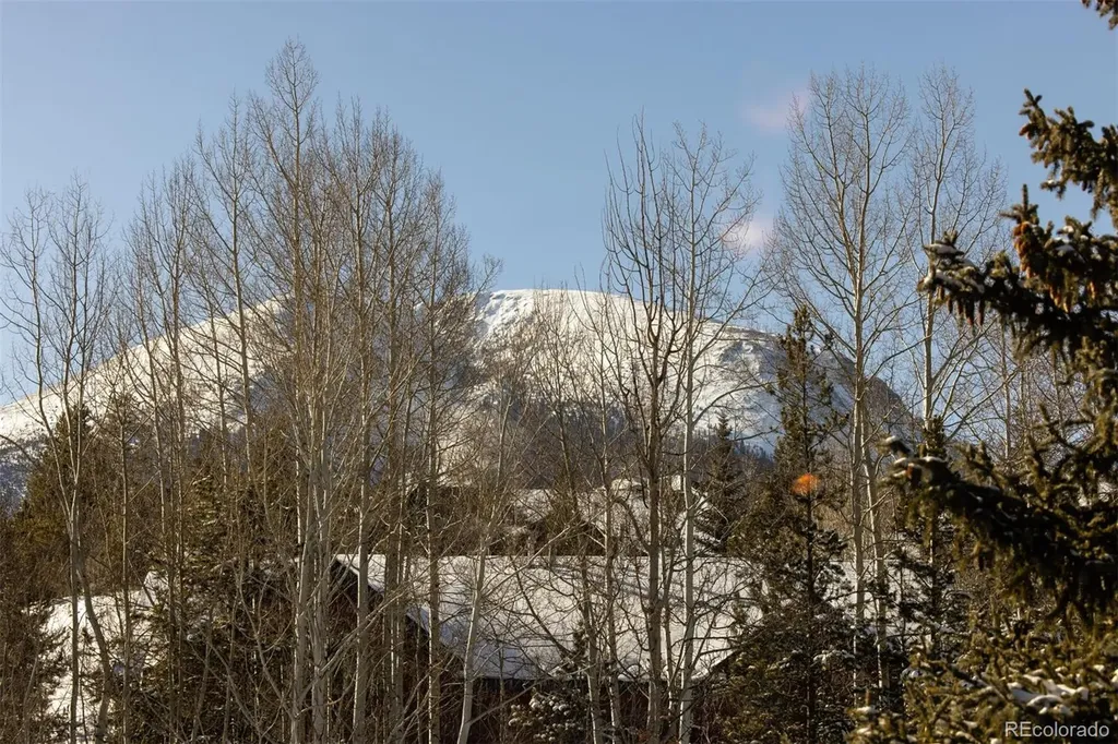 101 Ryan Gulch Court Silverthorne CO 80498