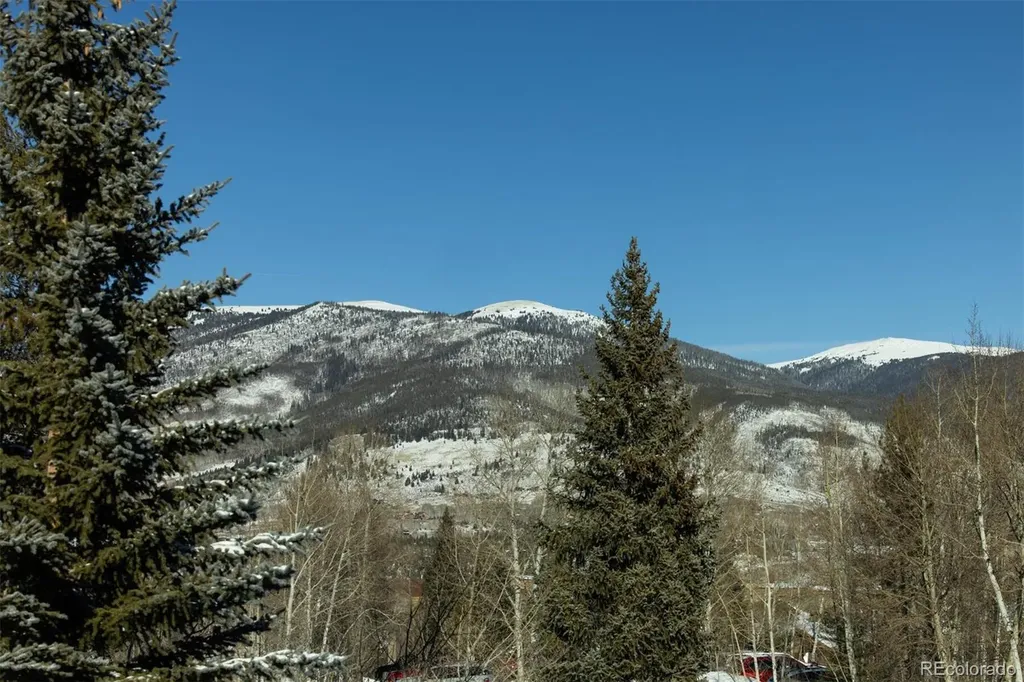 101 Ryan Gulch Court Silverthorne CO 80498