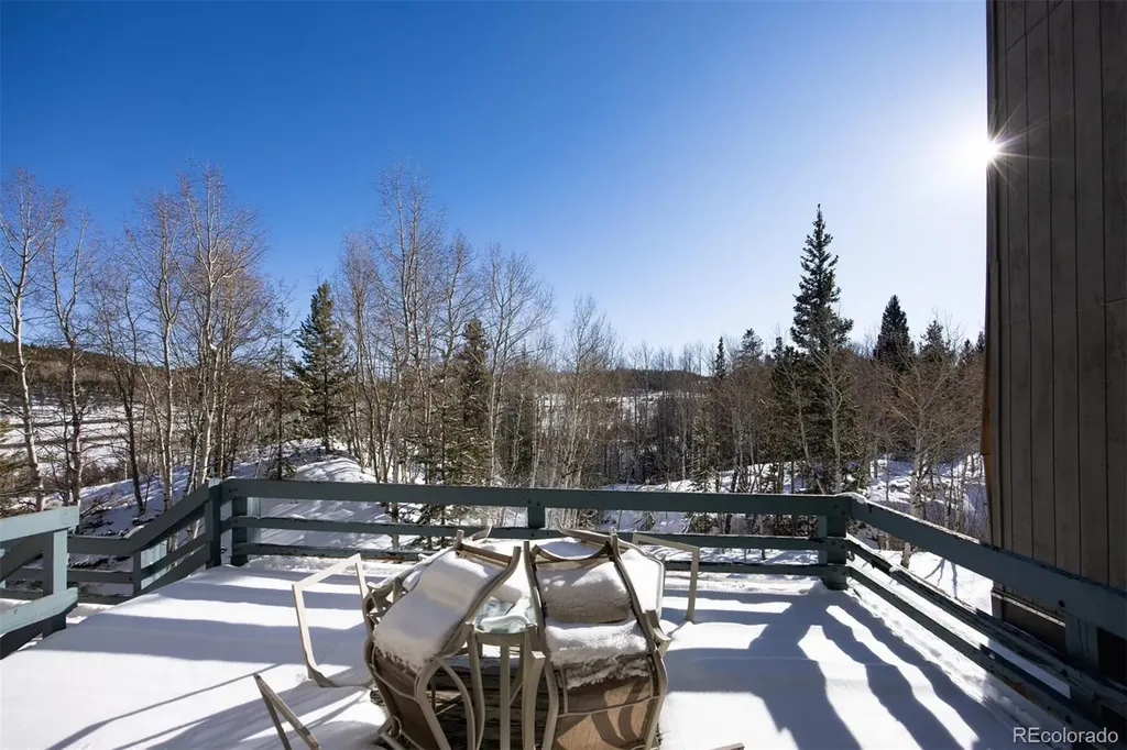 101 Ryan Gulch Court Silverthorne CO 80498