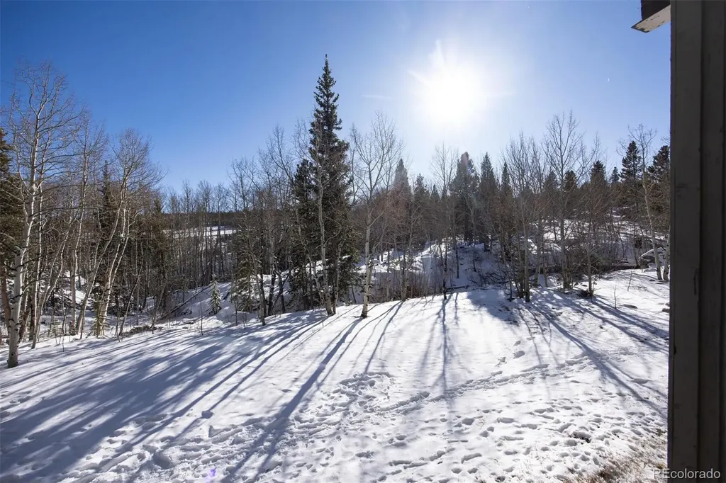 101 Ryan Gulch Court Silverthorne CO 80498