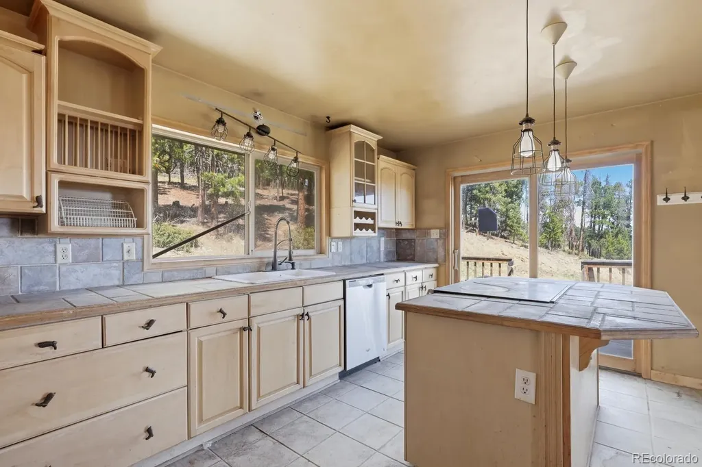 8367 S Warhawk Way Conifer CO 80433