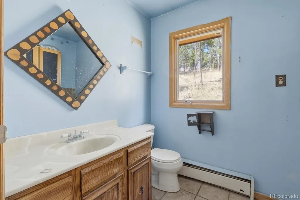 8367 S Warhawk Way Conifer CO 80433