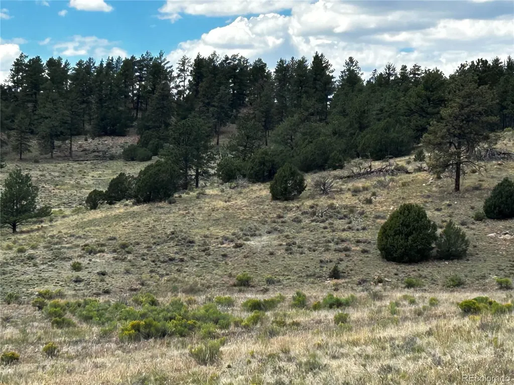 525 County Road 321 Westcliffe CO 81252