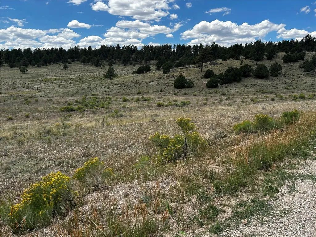 525 County Road 321 Westcliffe CO 81252