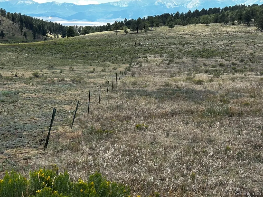 525 County Road 321 Westcliffe CO 81252