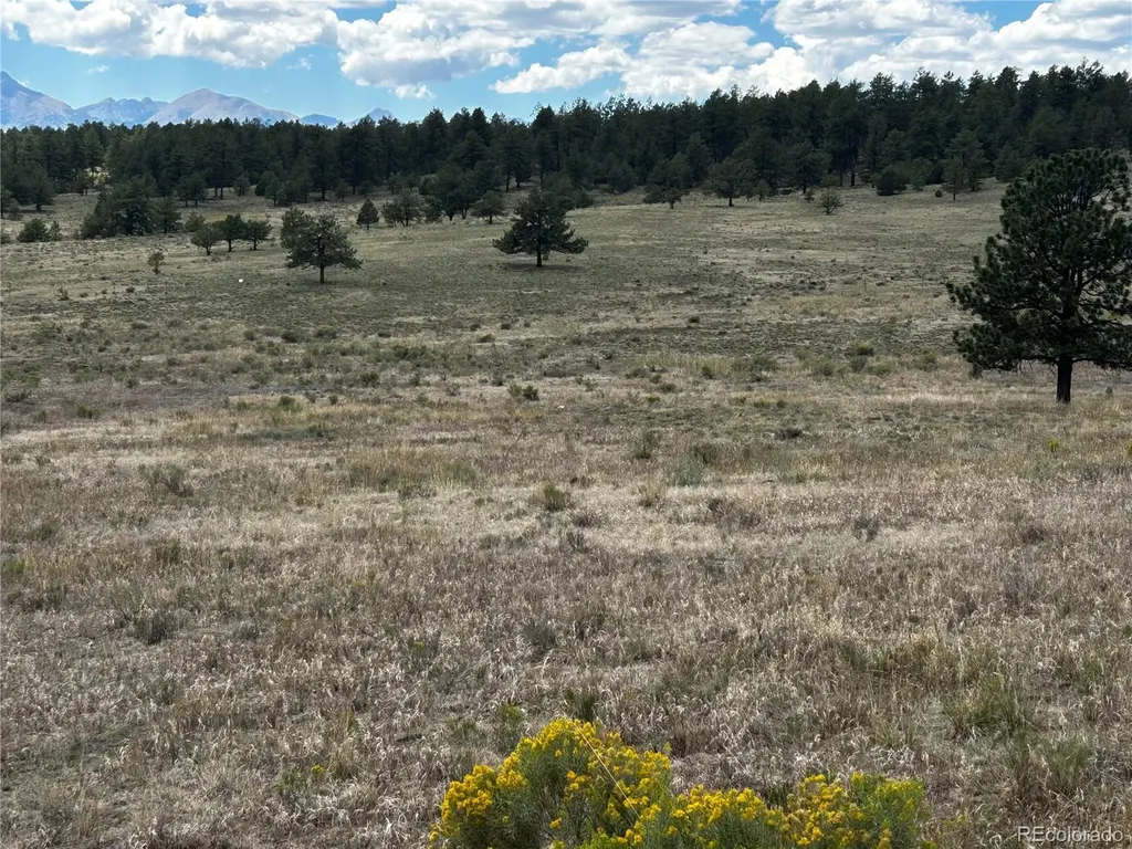 525 County Road 321 Westcliffe CO 81252
