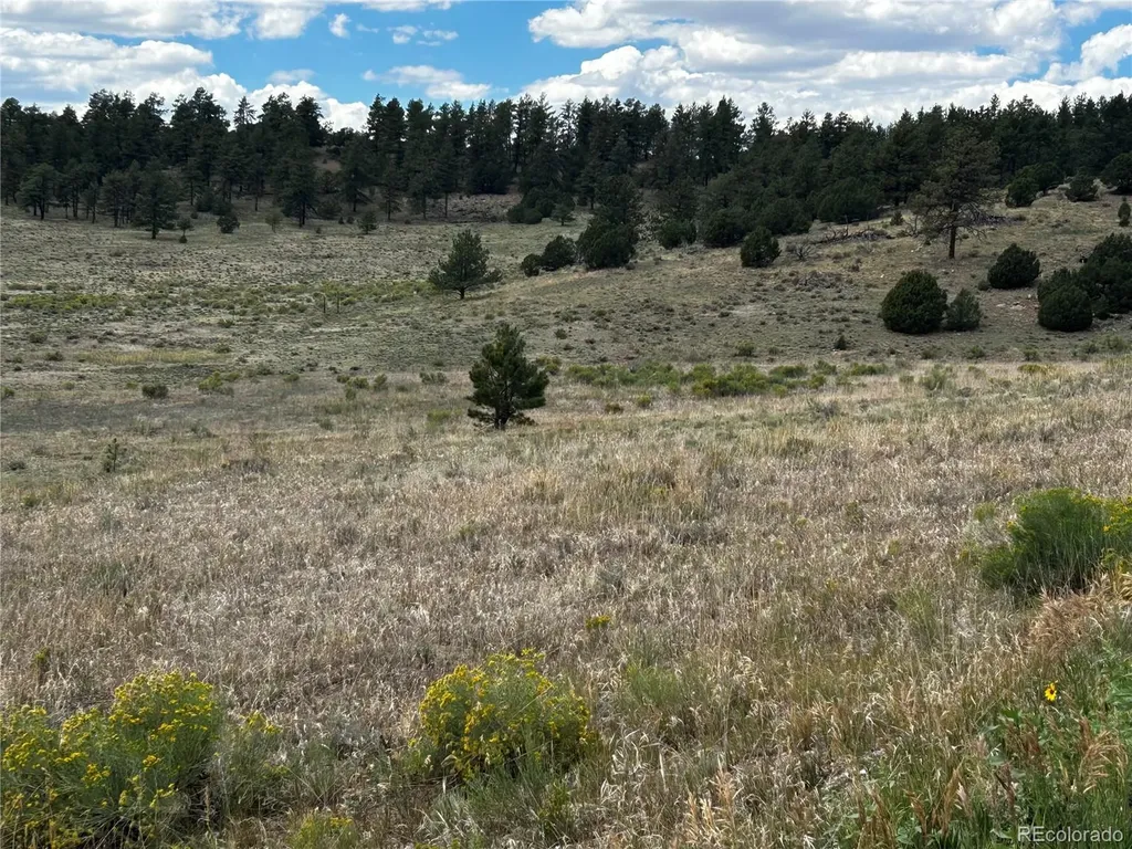 525 County Road 321 Westcliffe CO 81252