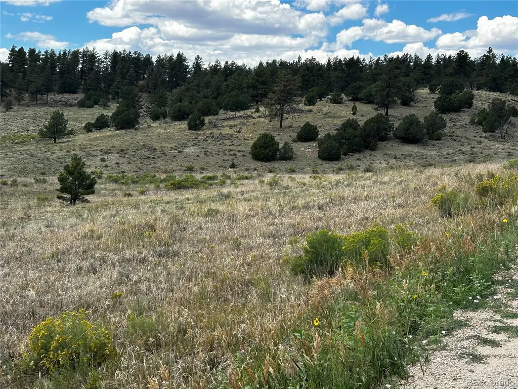 525 County Road 321 Westcliffe CO 81252