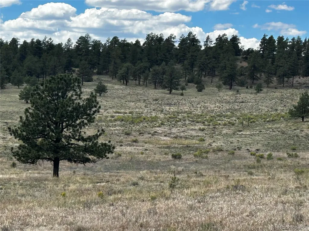 525 County Road 321 Westcliffe CO 81252