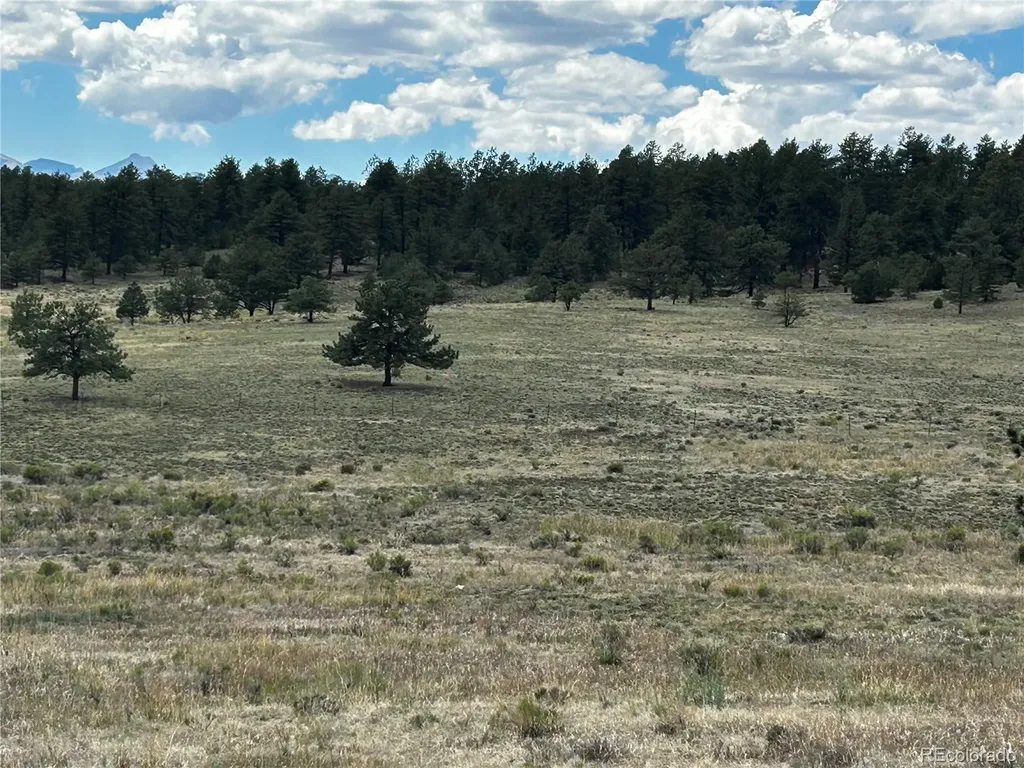 525 County Road 321 Westcliffe CO 81252