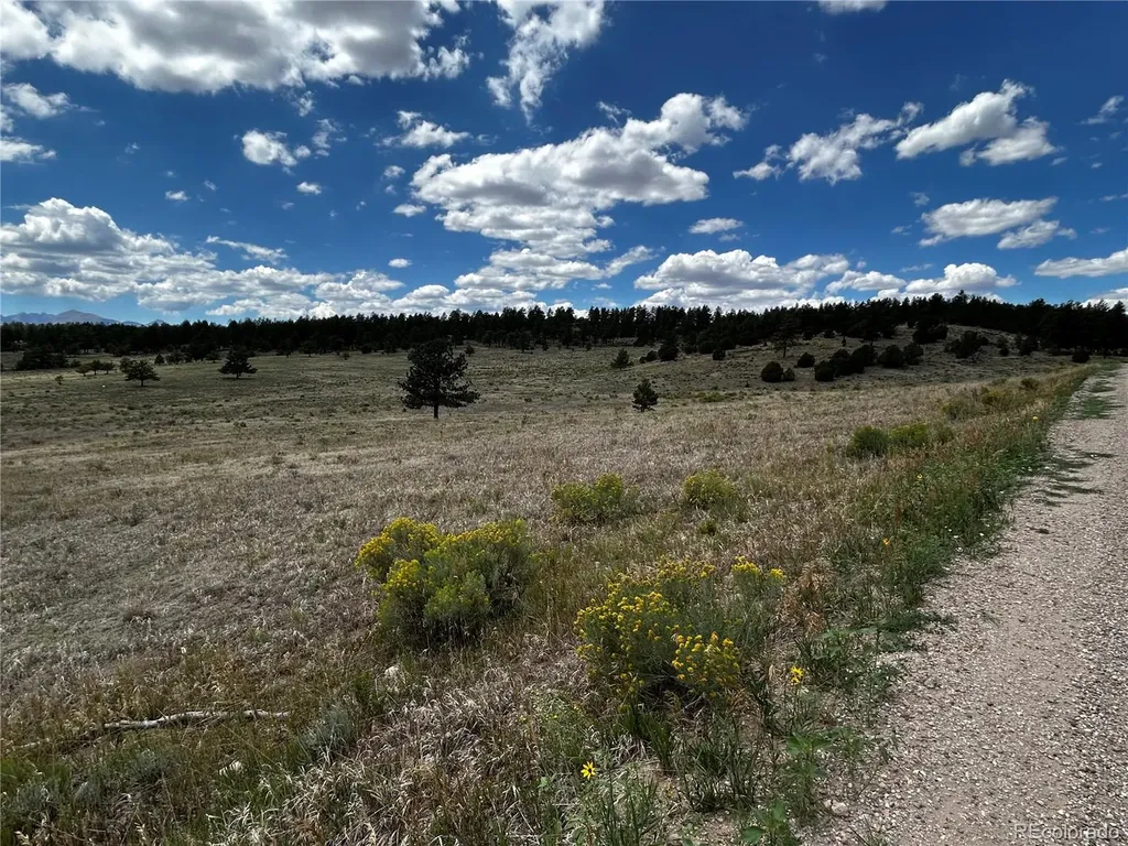 525 County Road 321 Westcliffe CO 81252