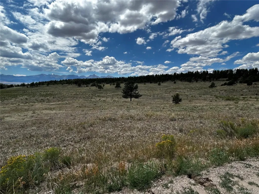 525 County Road 321 Westcliffe CO 81252