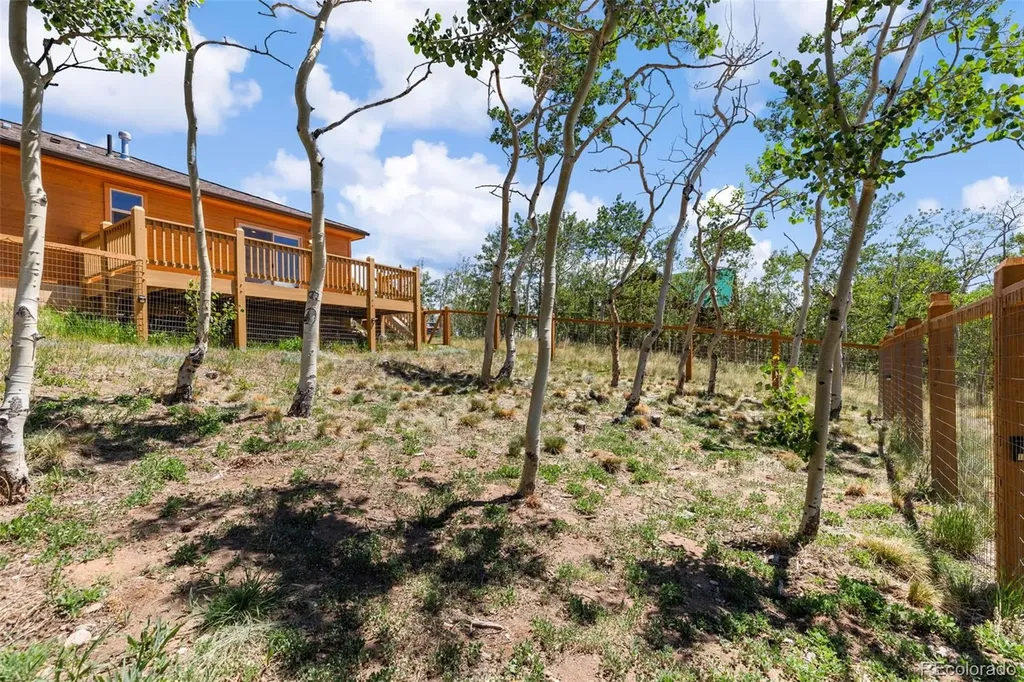 108 Sheep Ridge Road Fairplay CO 80440