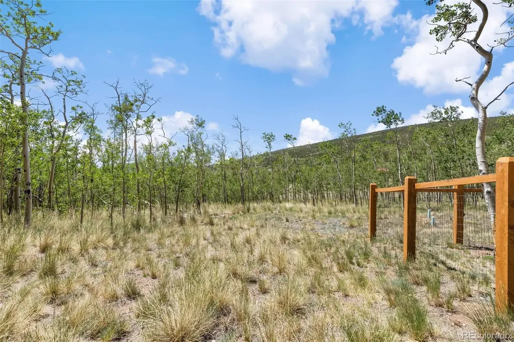 108 Sheep Ridge Road Fairplay CO 80440