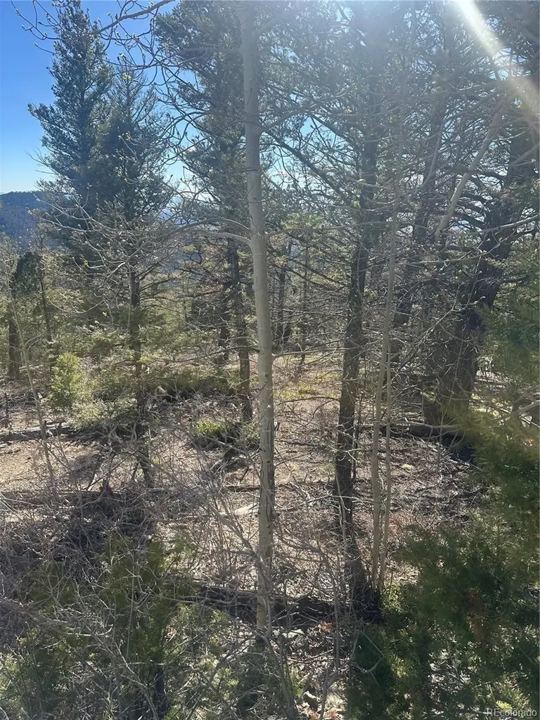 Lot 6742 Starkweather Road San Luis CO 81152