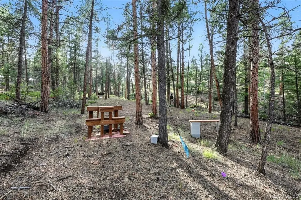 1721 Wildhorn Road Florissant CO 80816