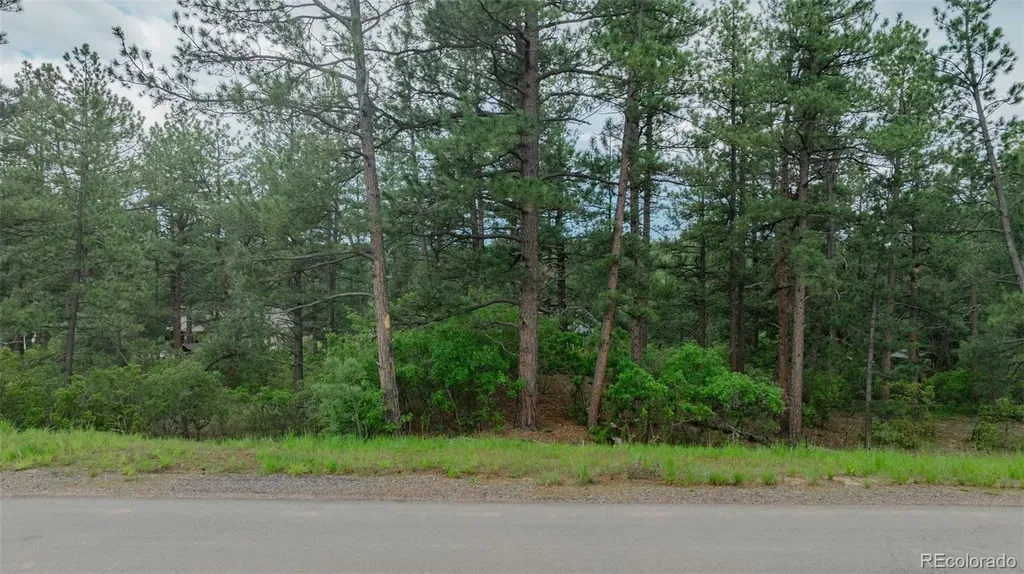 648 Copper Fox Place Larkspur CO 80118