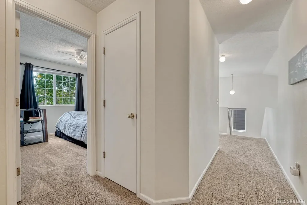 7072 Mcewan Street Colorado Springs CO 80922