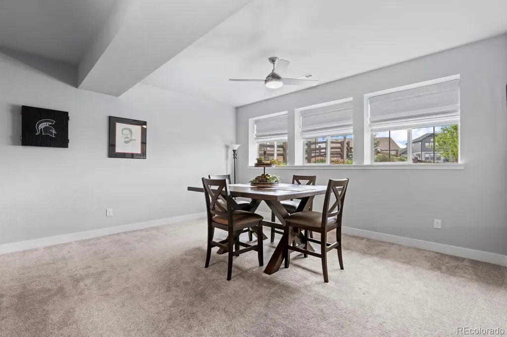 3359 Carabiner Street Castle Rock CO 80108