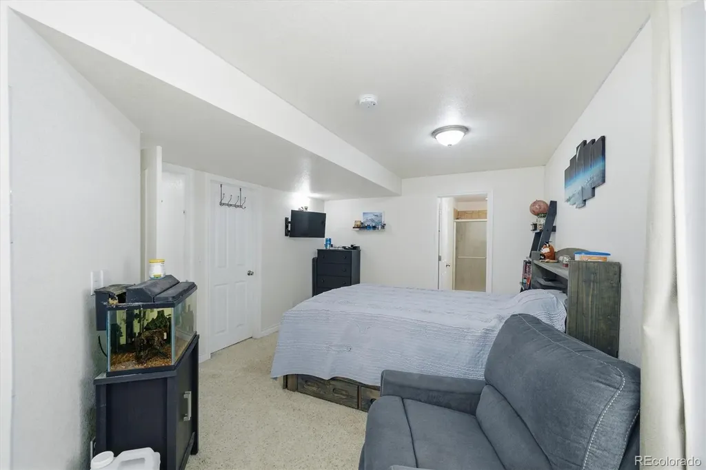 12204 N Ivanhoe Court Brighton CO 80602