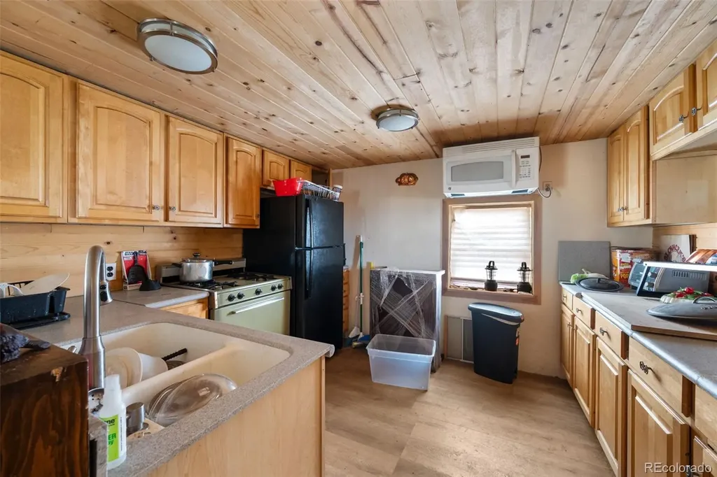 2030 Puma Hills Road Lake George CO 80827