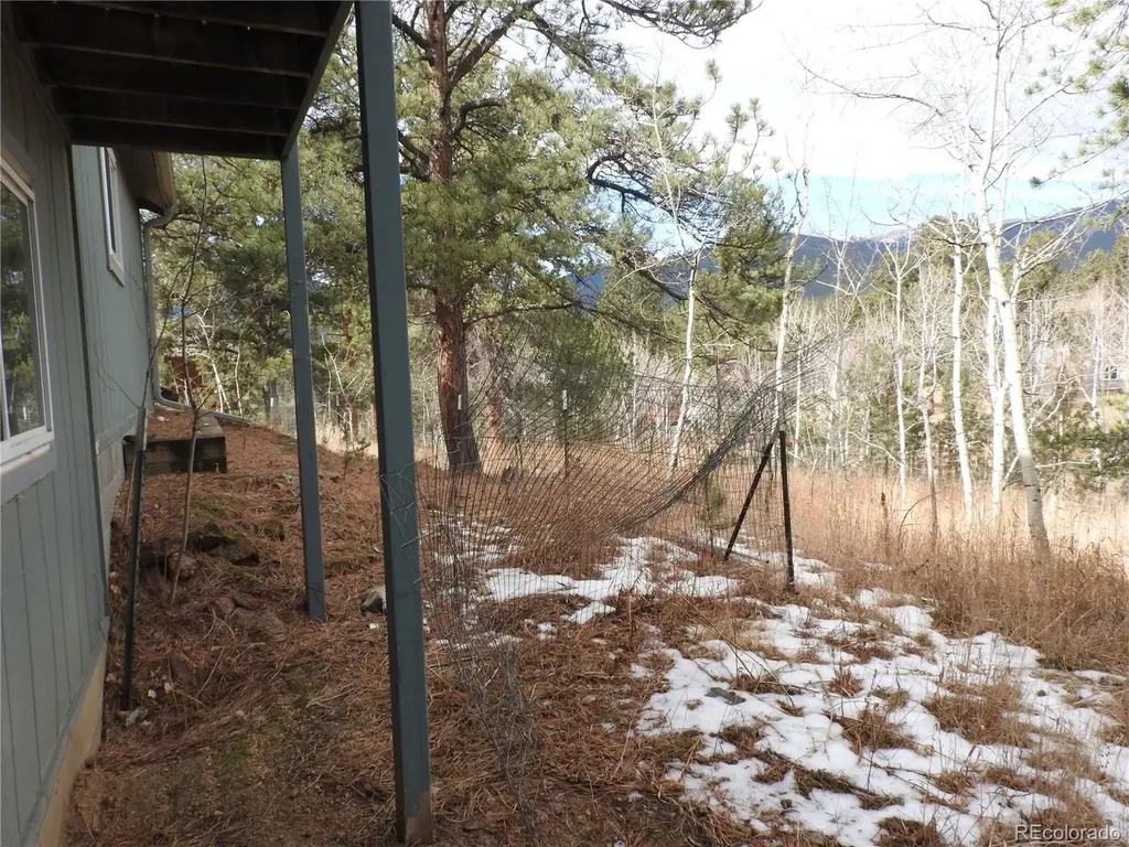 426 Houston Street Bailey CO 80421