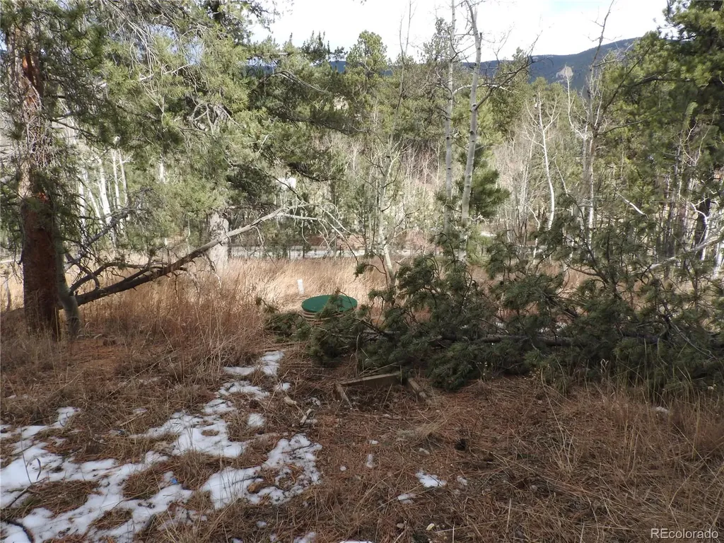 426 Houston Street Bailey CO 80421