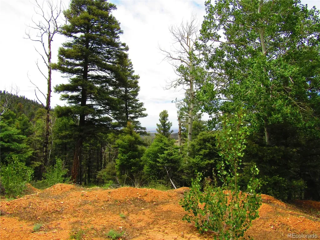 Lot 6029 Spruce Road San Luis CO 81152