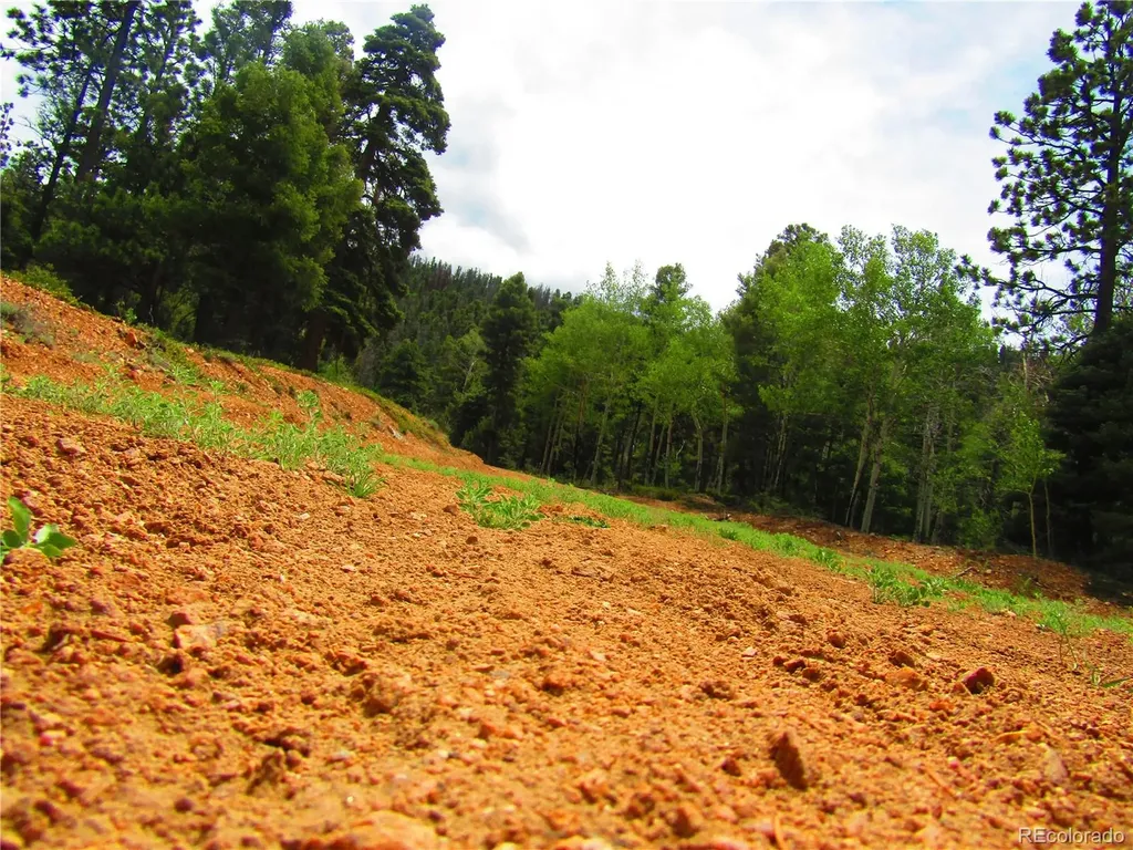 Lot 6029 Spruce Road San Luis CO 81152