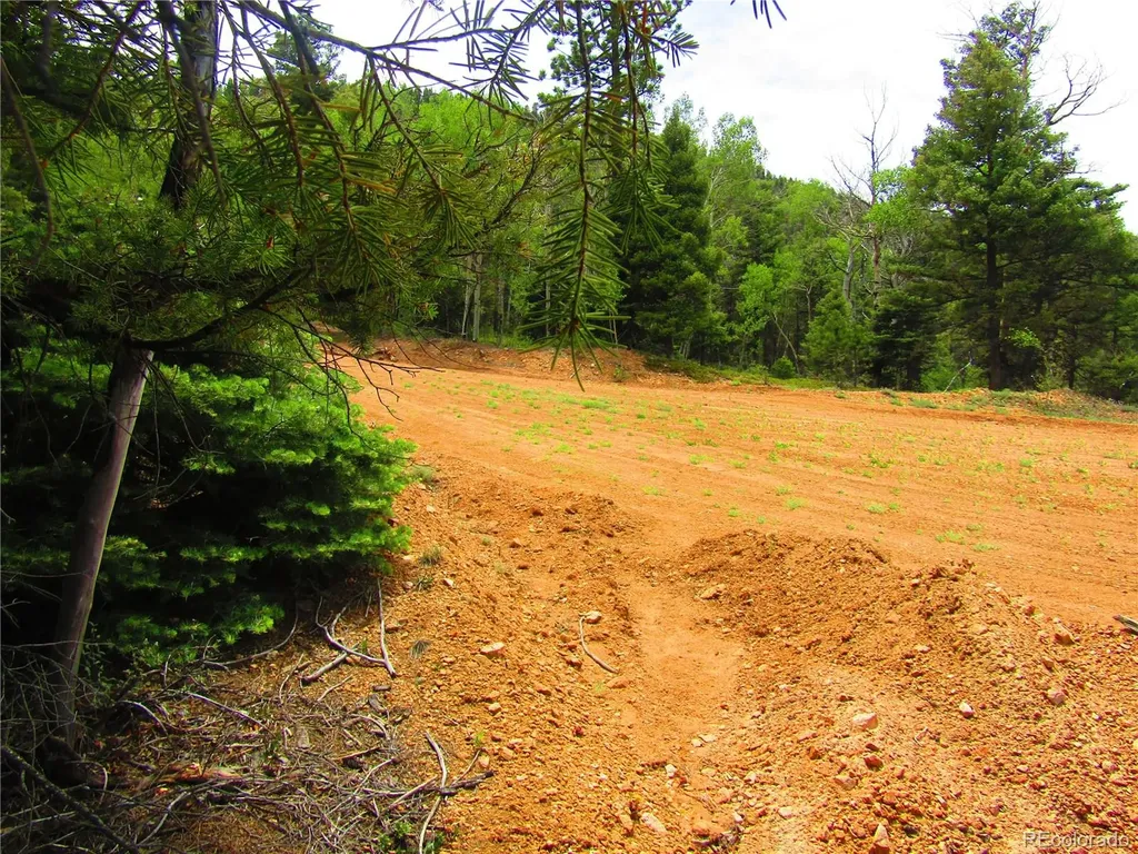 Lot 6029 Spruce Road San Luis CO 81152