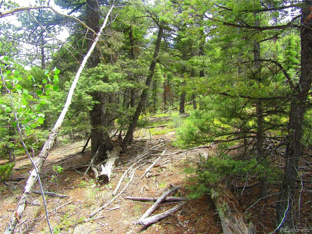 Lot 6029 Spruce Road San Luis CO 81152