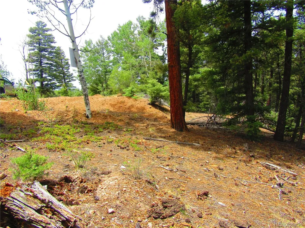 Lot 6029 Spruce Road San Luis CO 81152