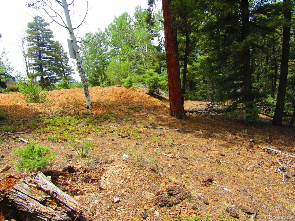 Lot 6029 Spruce Road San Luis CO 81152